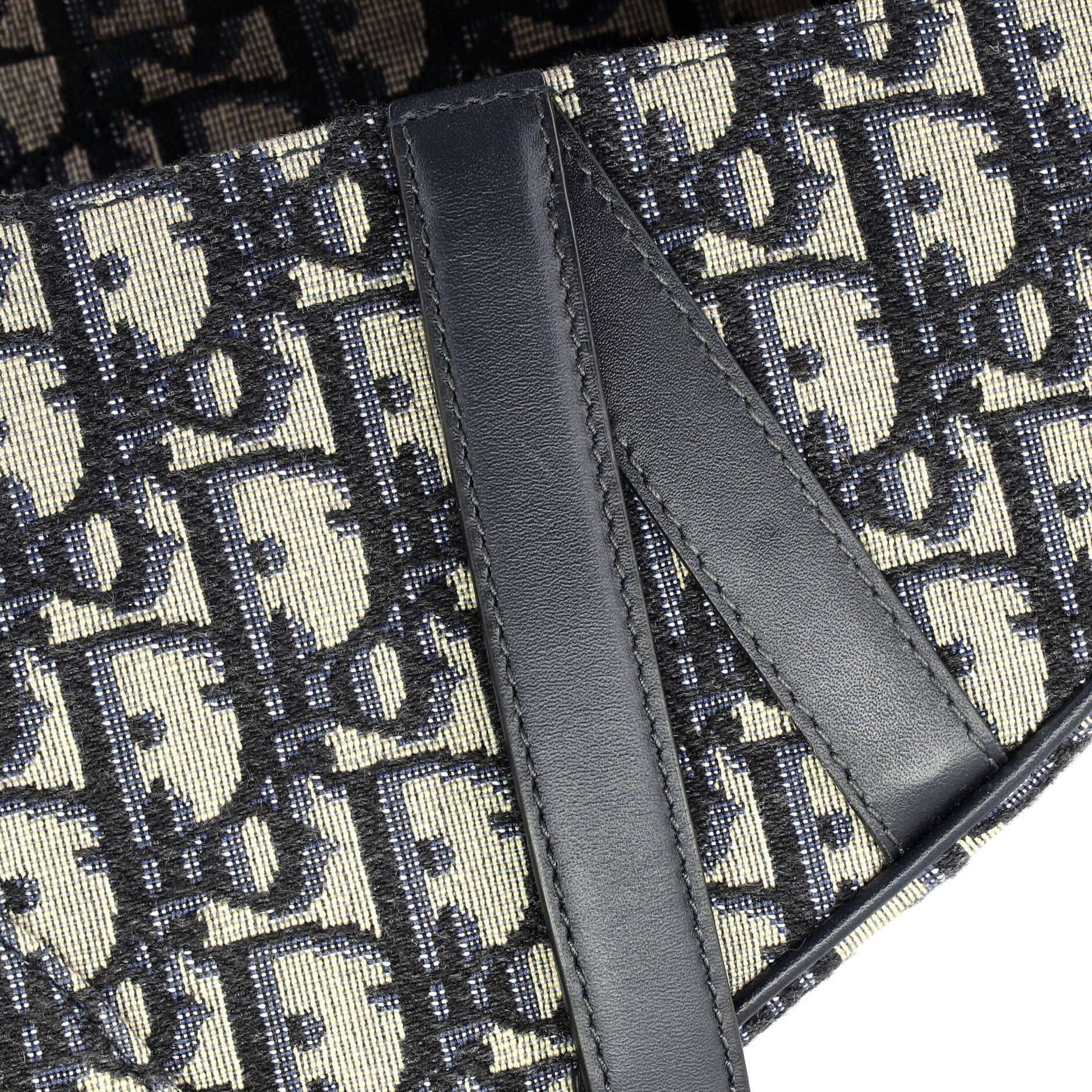 Saddle Handbag Oblique Canvas Mini