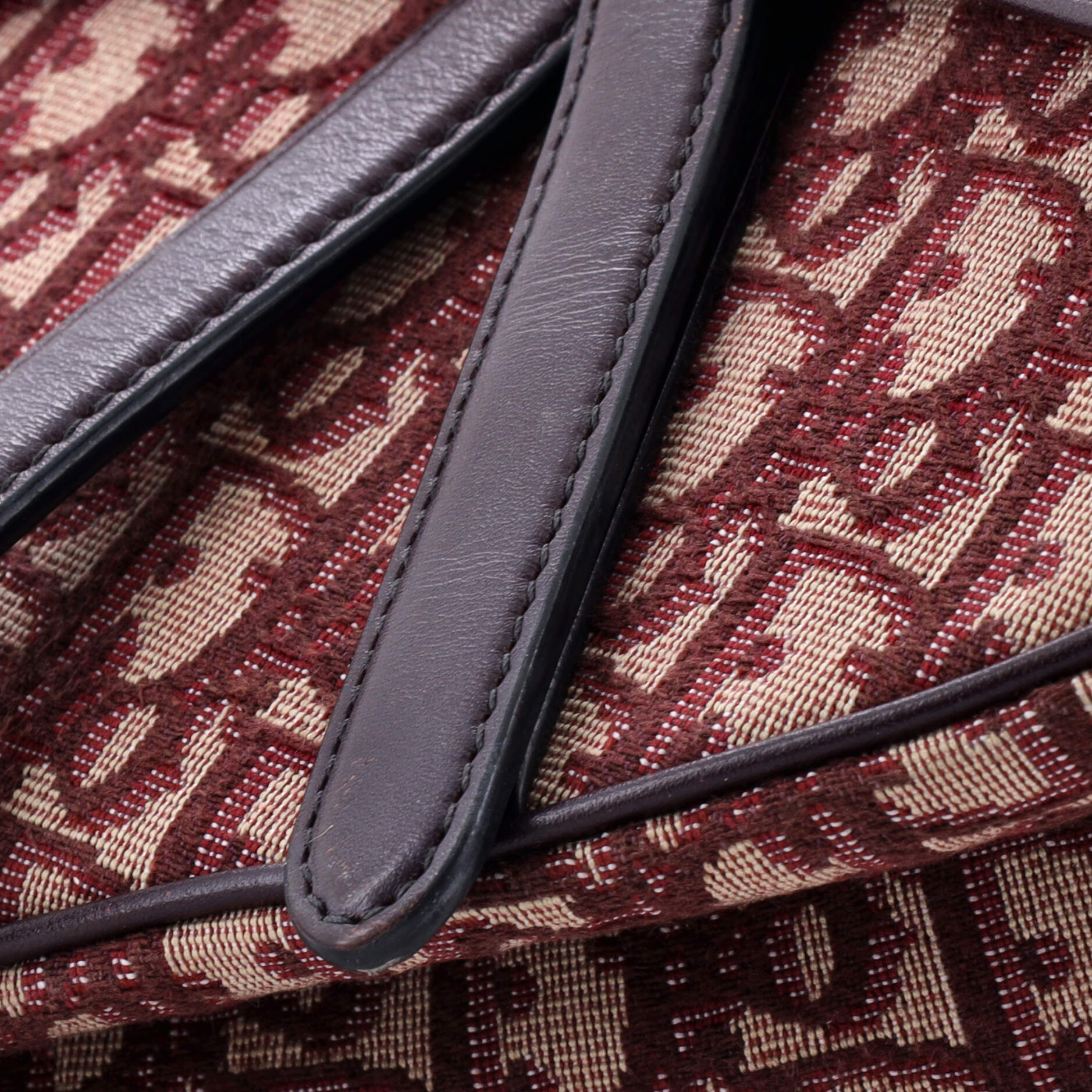 Saddle Handbag Oblique Canvas Medium