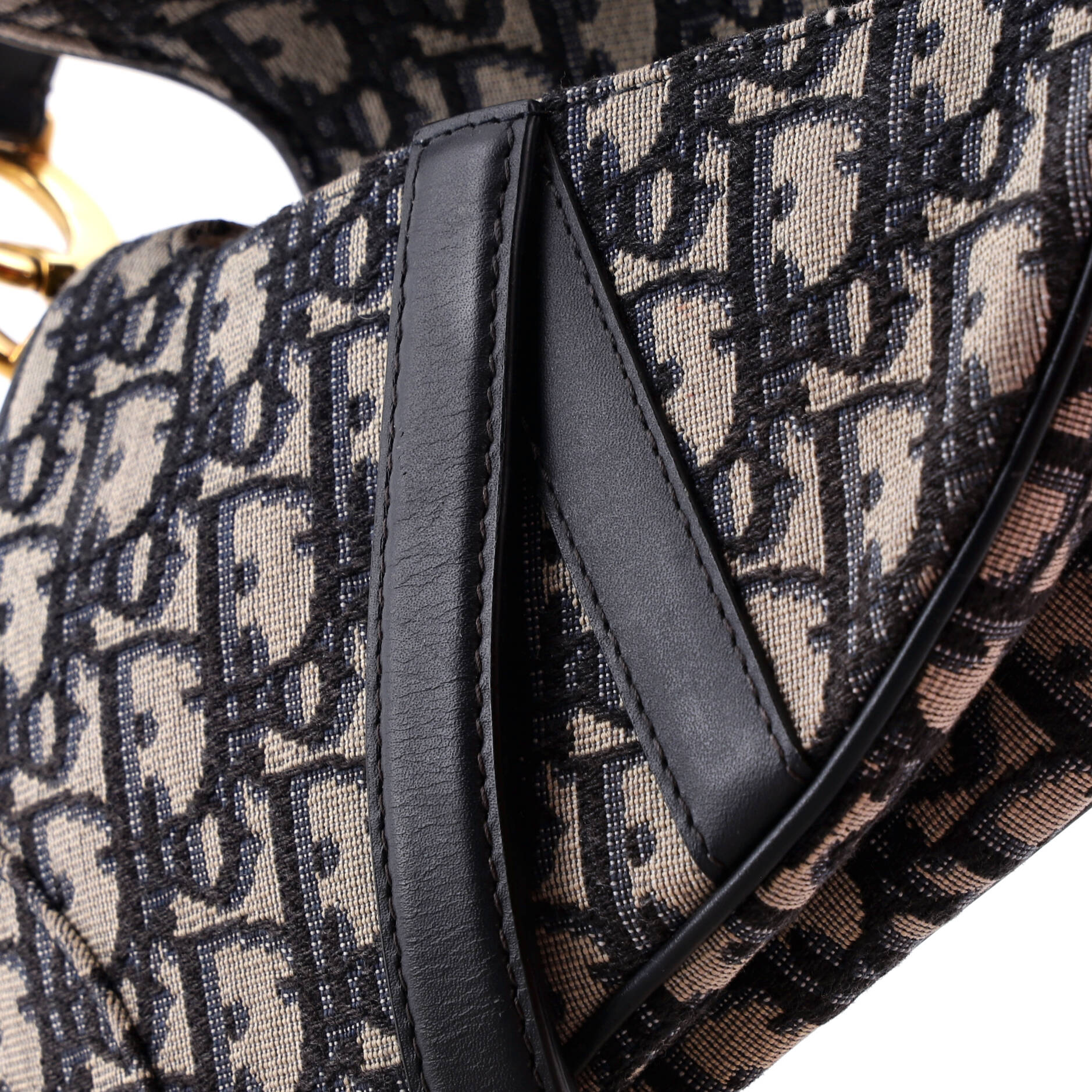 Saddle Handbag Oblique Canvas Mini