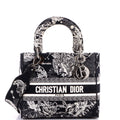 Lady D-Lite Bag Embroidered Canvas Medium