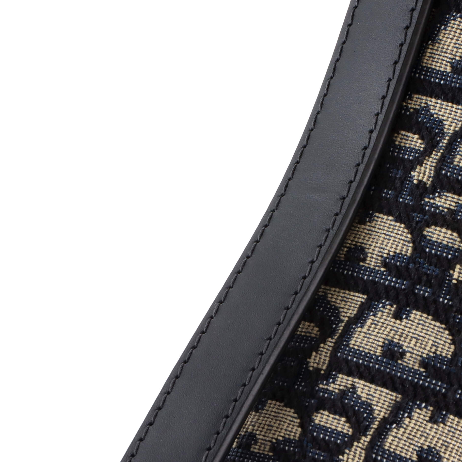 Saddle Handbag Oblique Canvas Medium