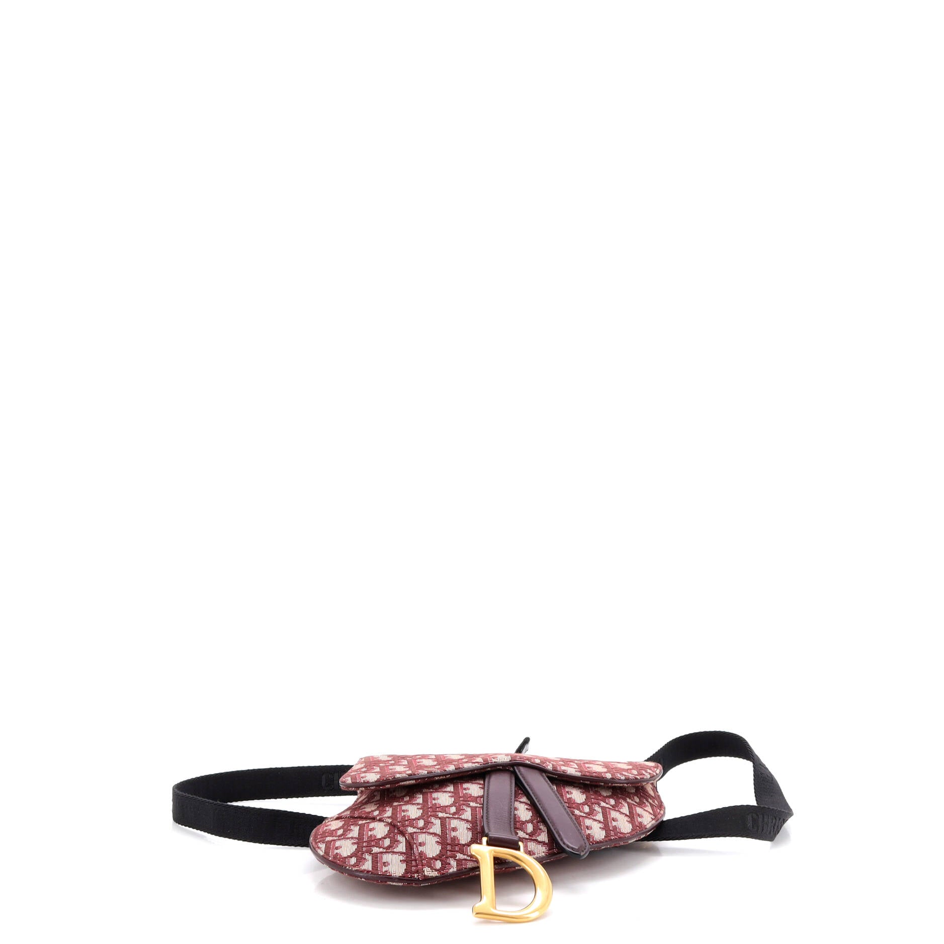 Saddle Belt Bag Oblique Canvas