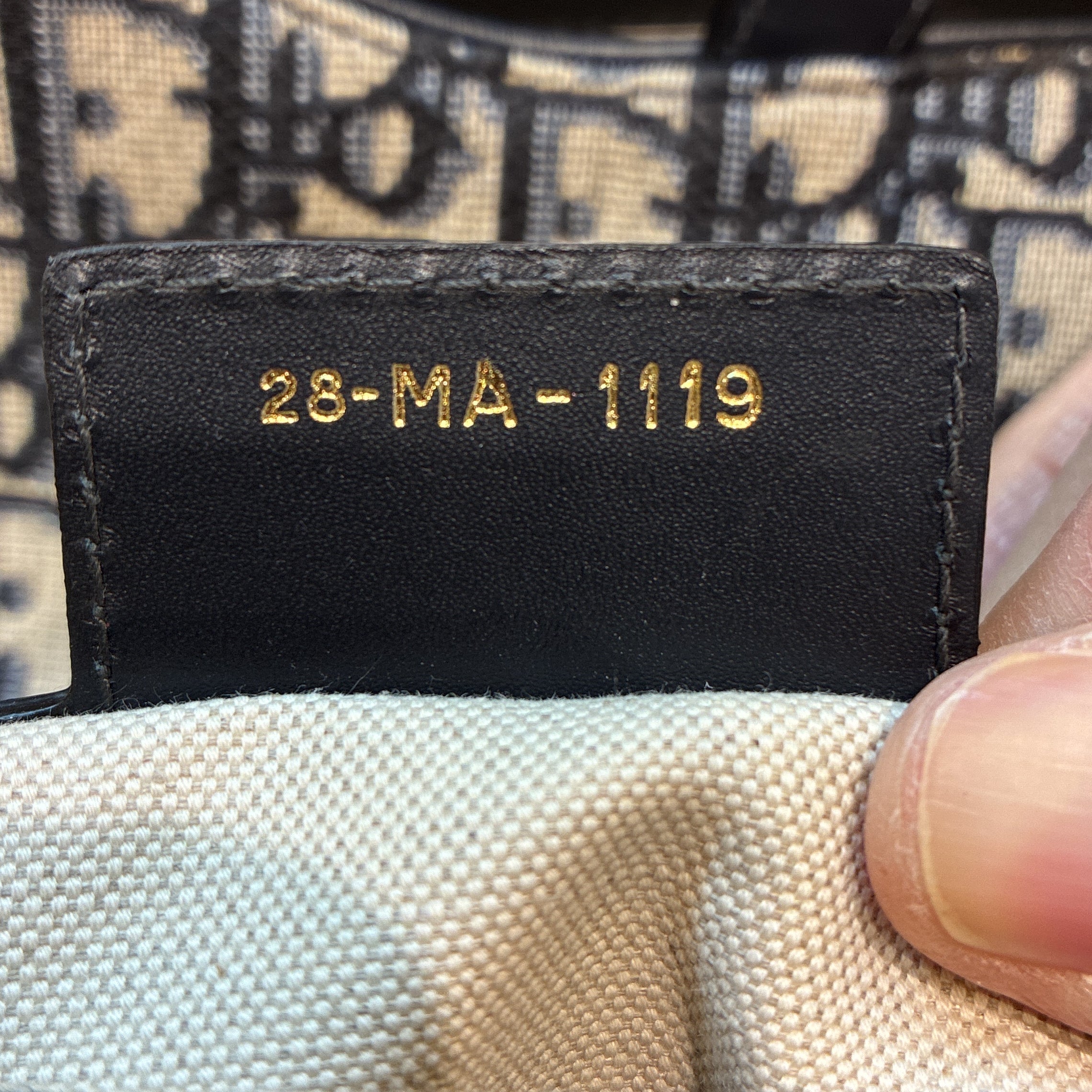 Saddle Handbag Oblique Canvas Medium