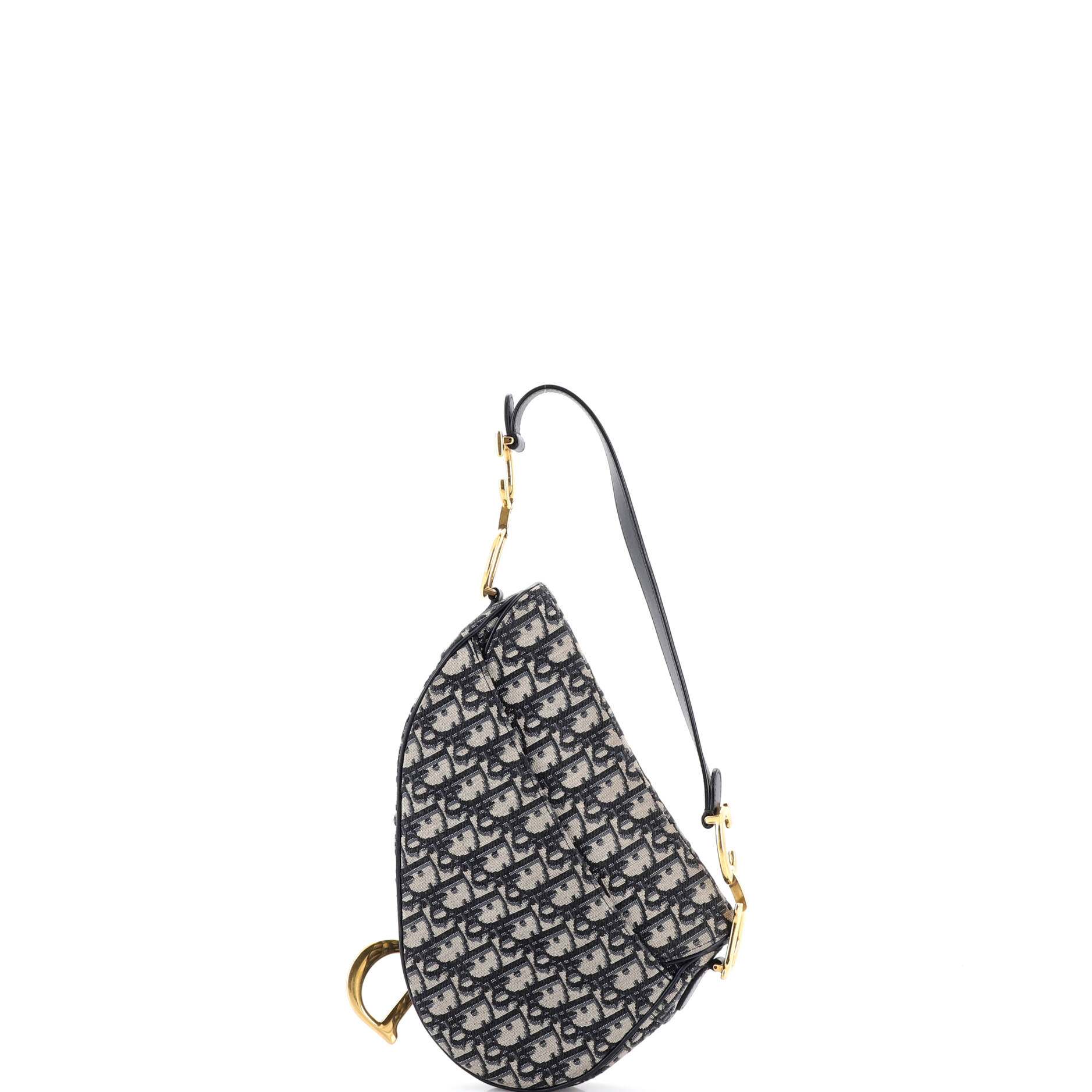 Saddle Handbag Oblique Canvas Medium