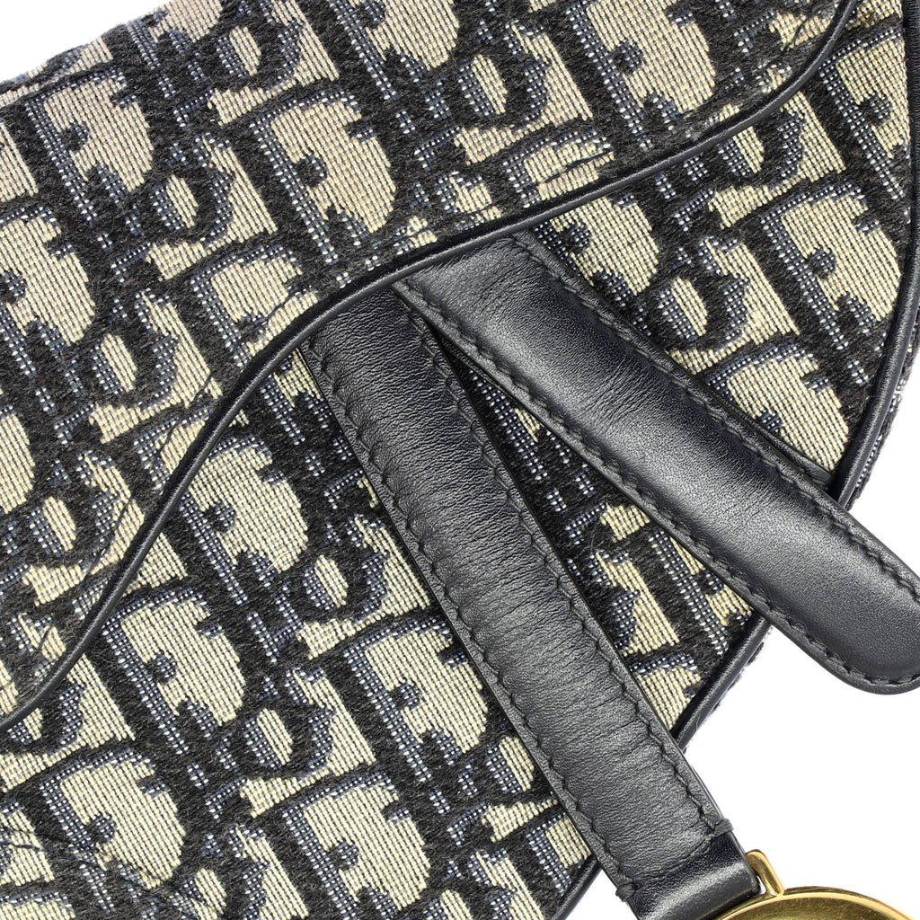 Saddle Handbag Oblique Canvas Mini