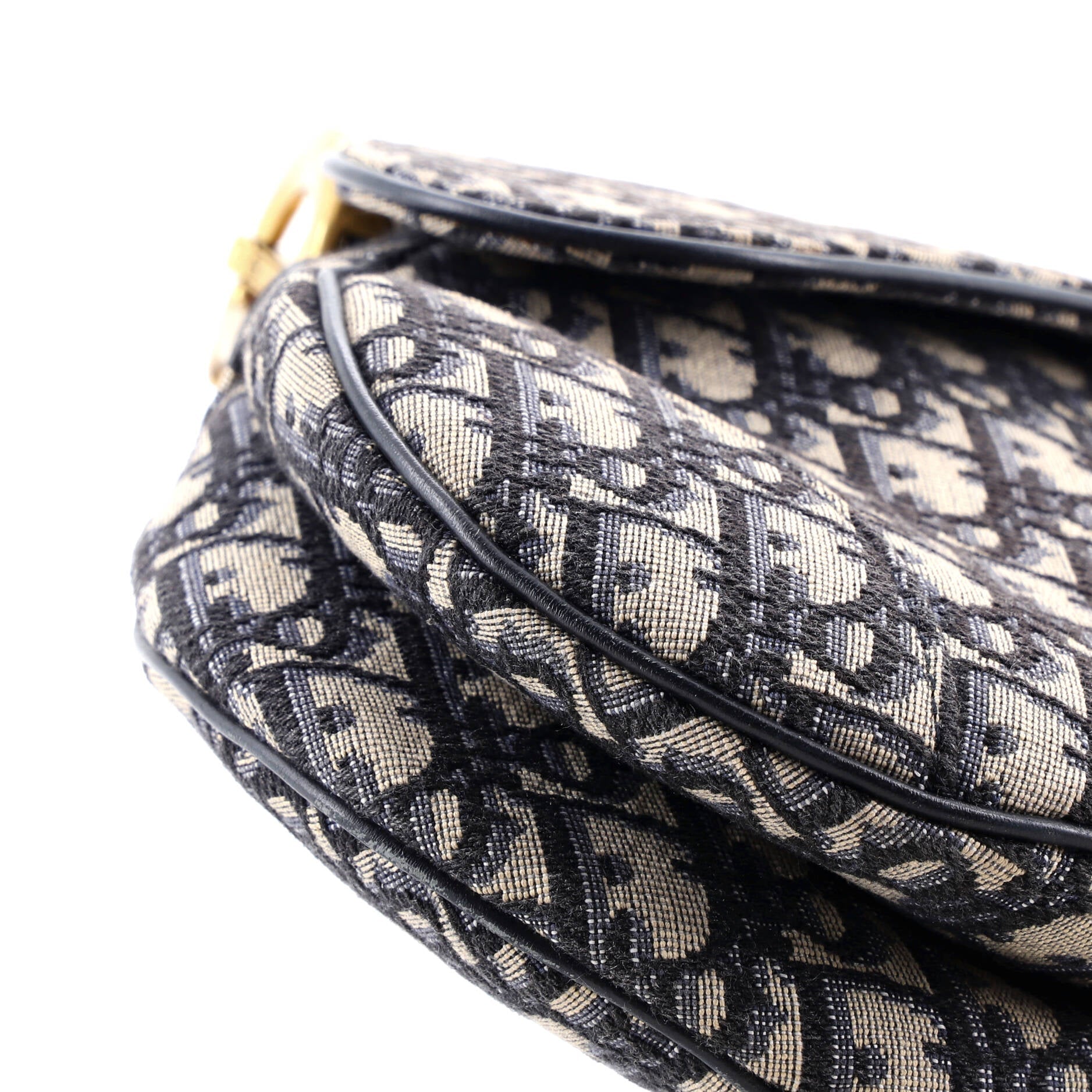 Saddle Handbag Oblique Canvas Medium