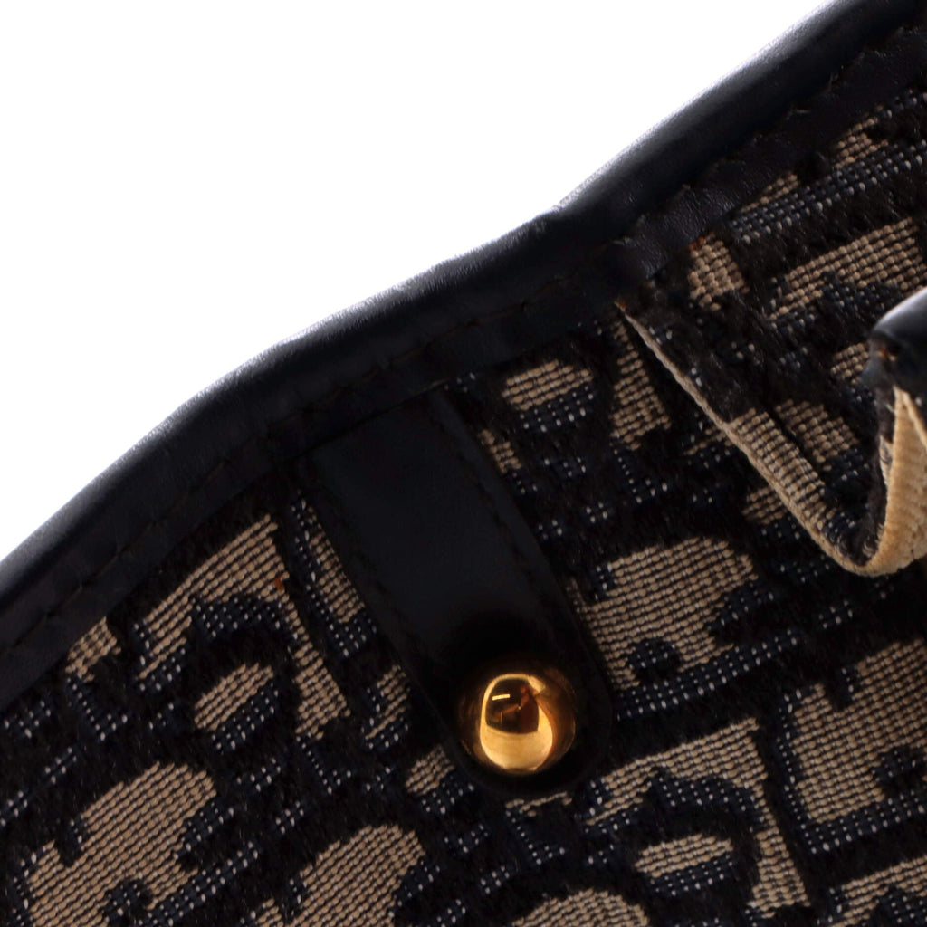 Dioraddict Flap Bag Oblique Canvas Medium