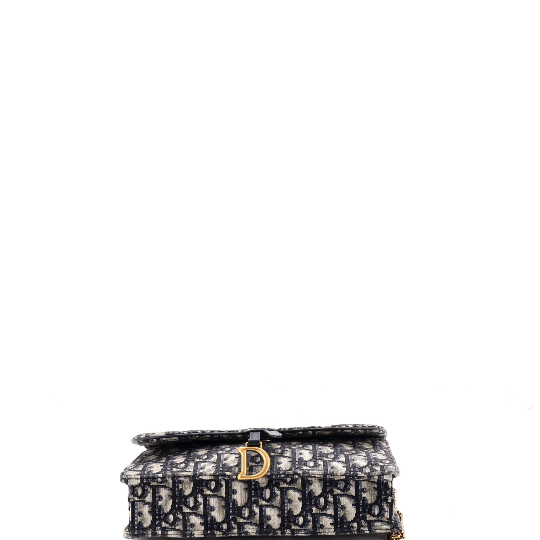 Saddle Pouch Wallet on Chain Oblique Canvas