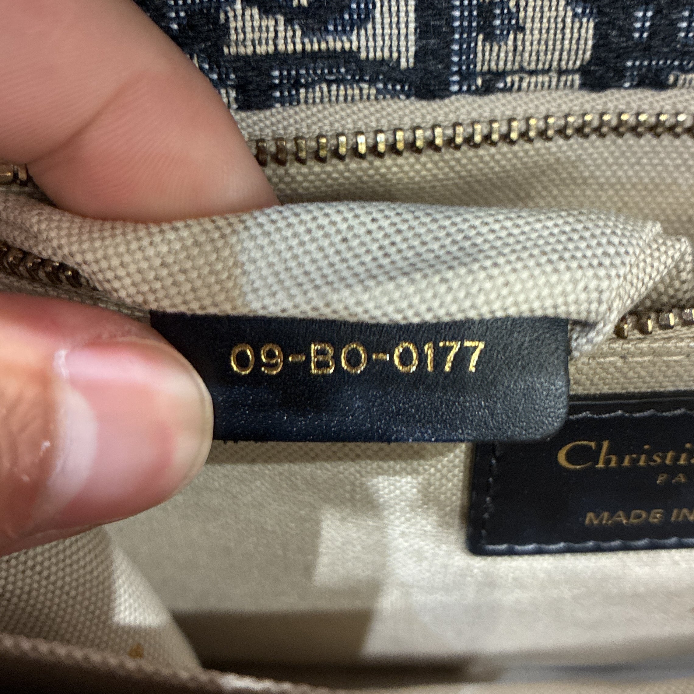 Dioraddict Flap Bag Oblique Canvas Medium