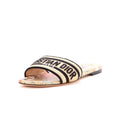 Women's Dway Flat Sandals Embroidered Straw