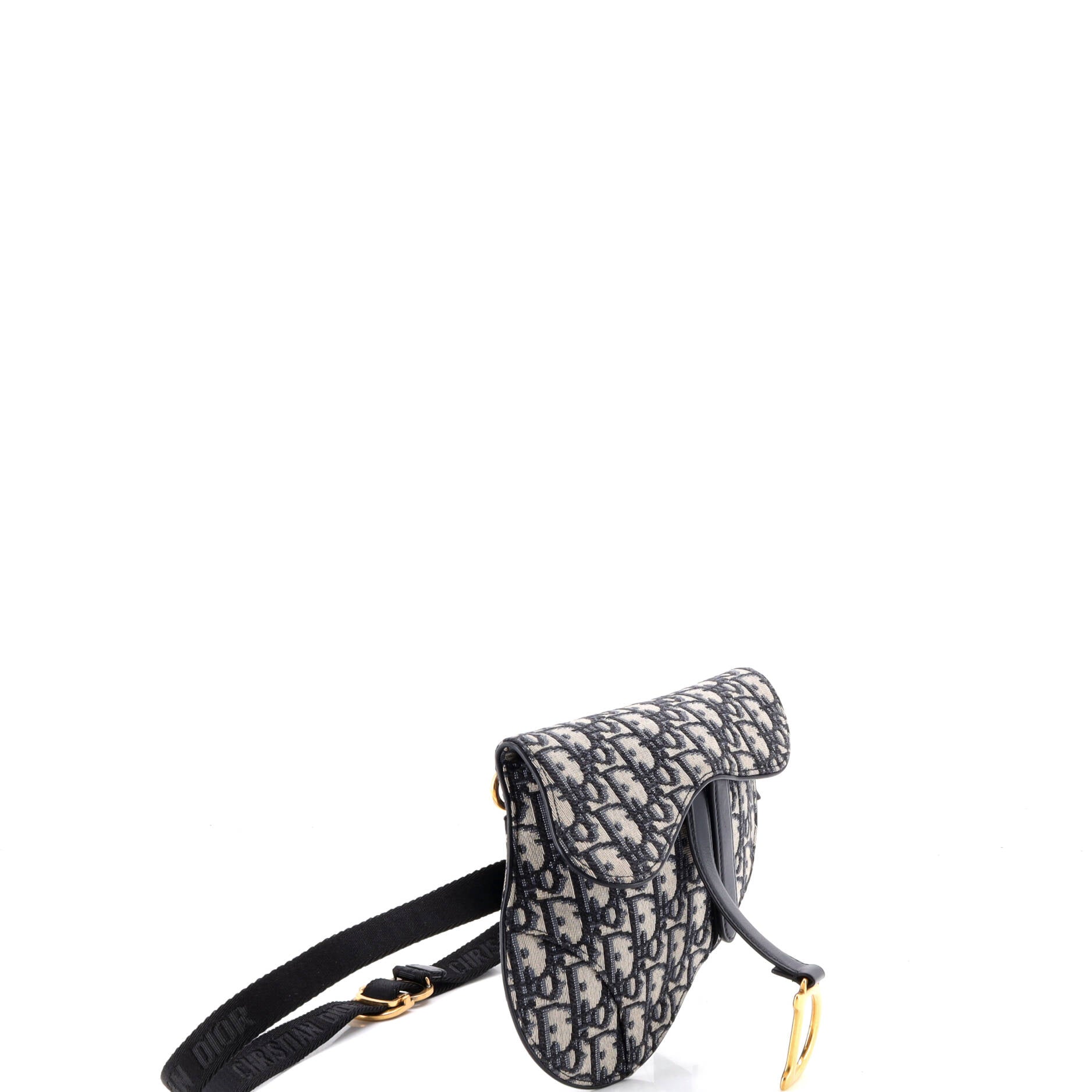 Saddle Belt Bag Oblique Canvas