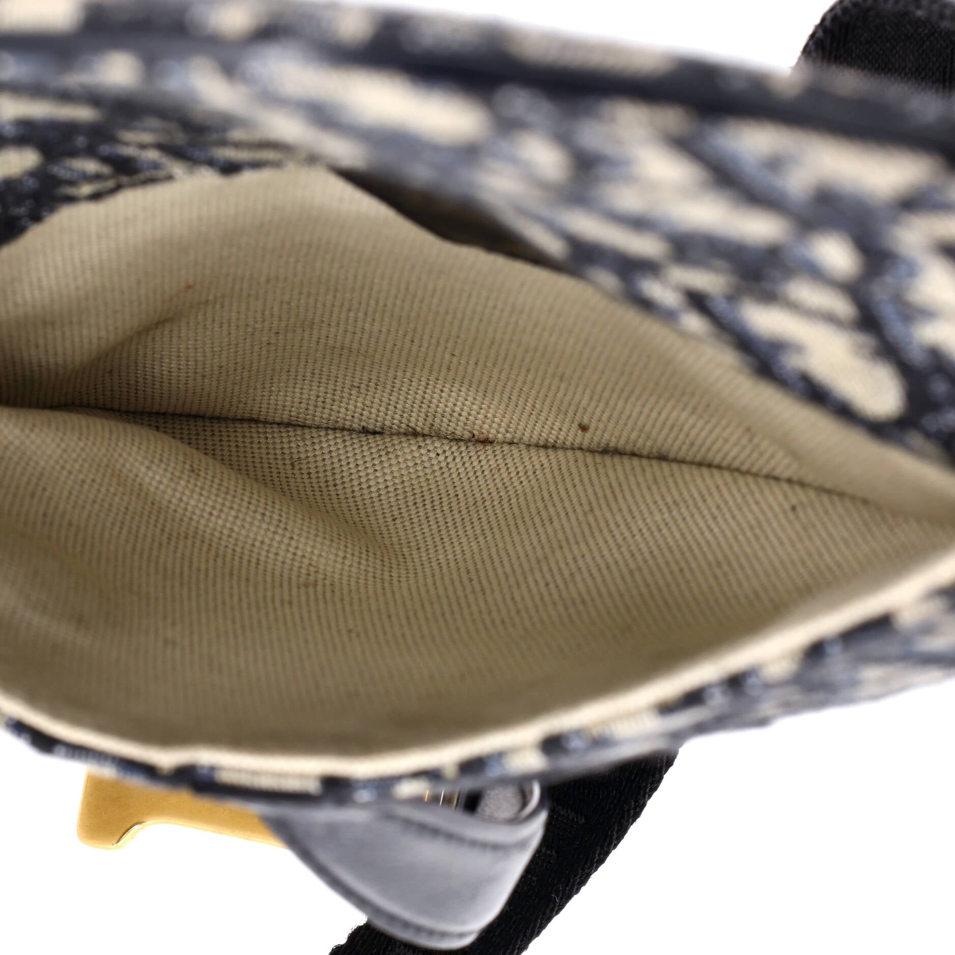 Saddle Belt Bag Oblique Canvas
