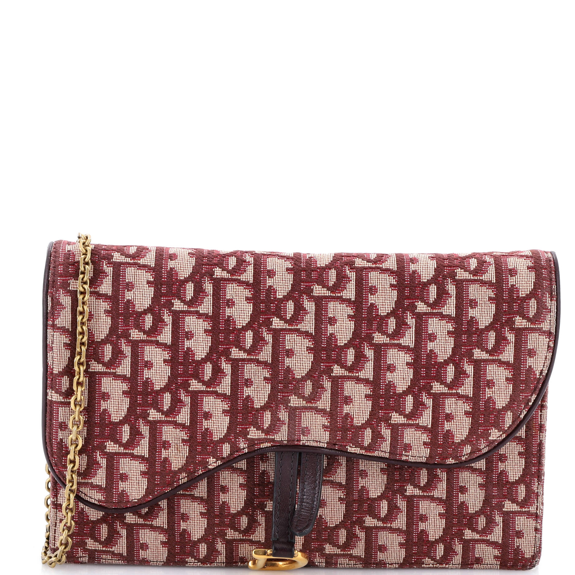 Saddle Chain Clutch Oblique Canvas