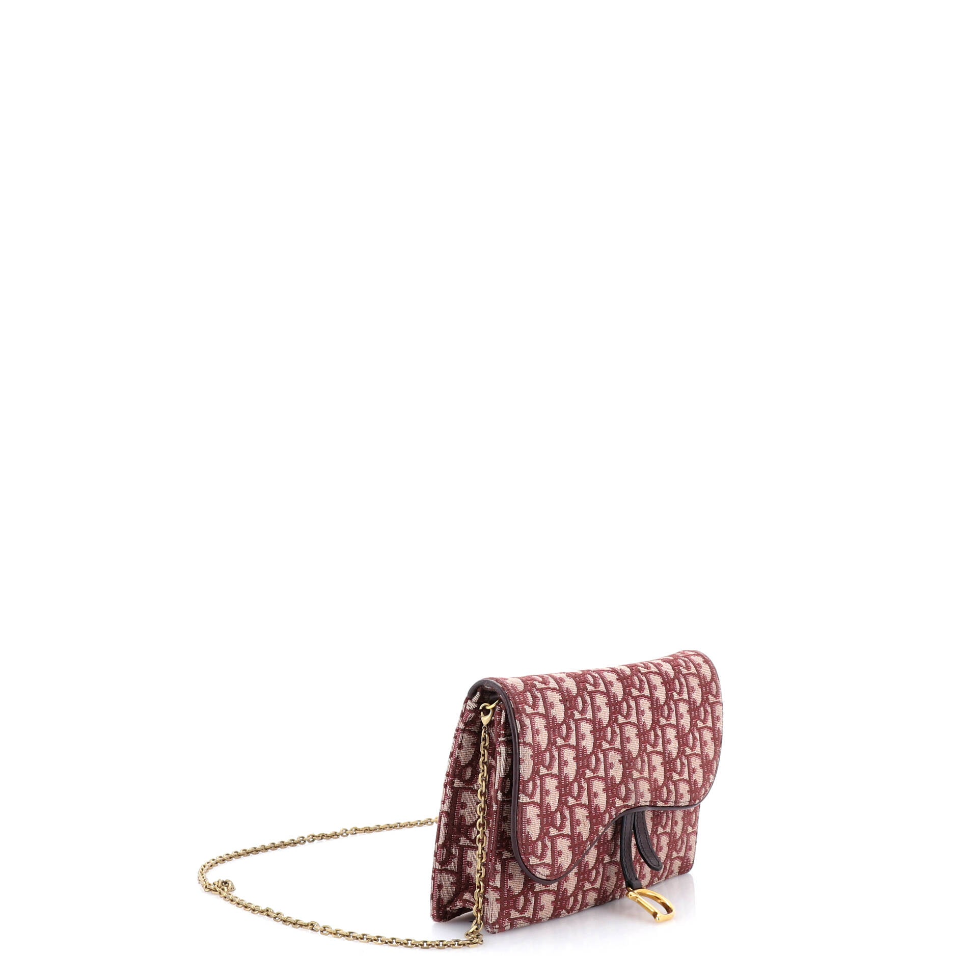 Saddle Chain Clutch Oblique Canvas