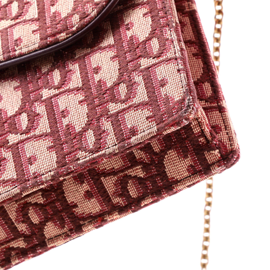 Saddle Chain Clutch Oblique Canvas