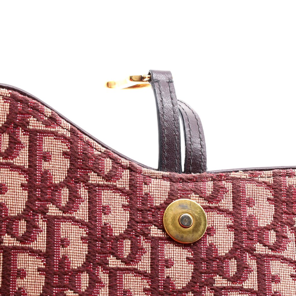 Saddle Chain Clutch Oblique Canvas