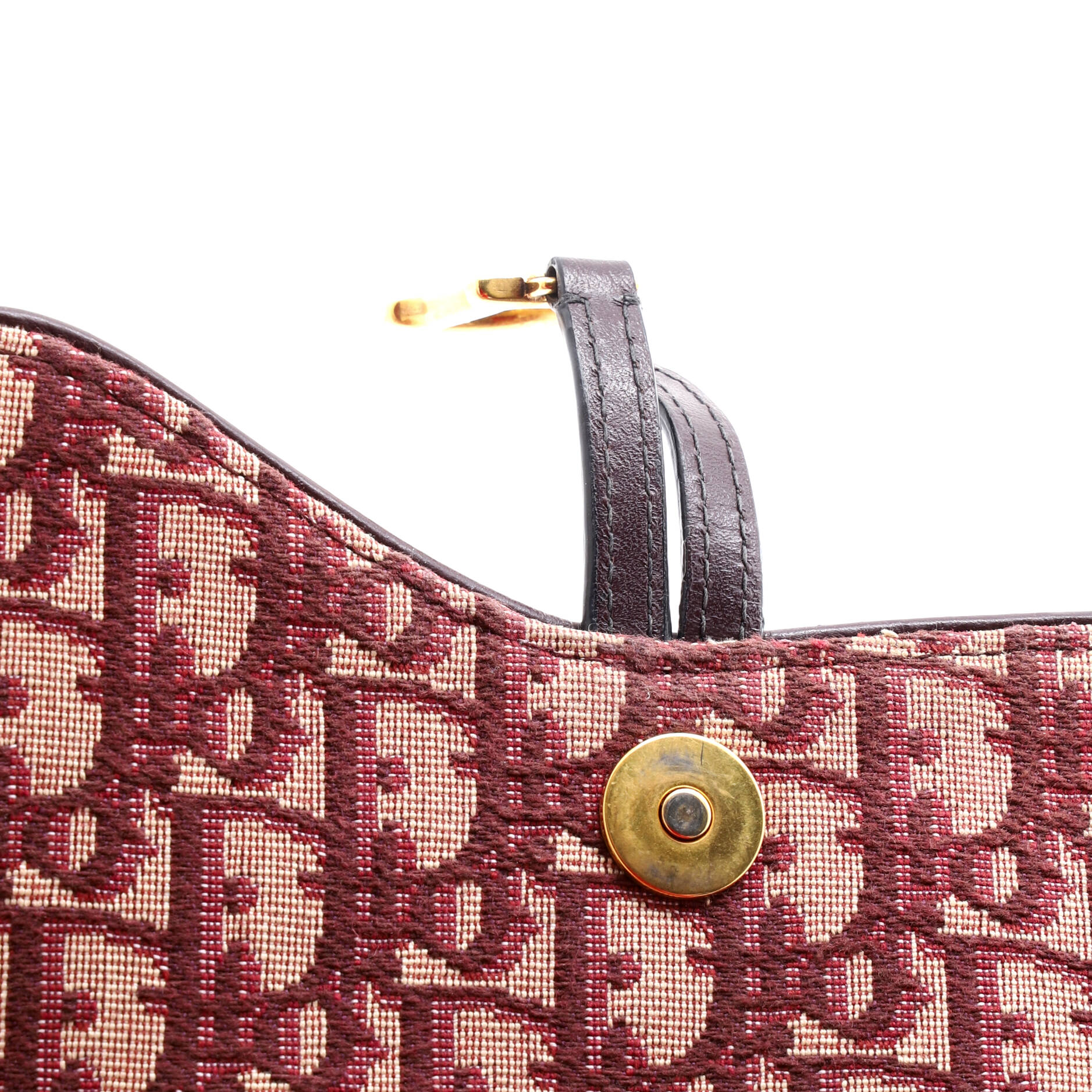 Saddle Chain Clutch Oblique Canvas