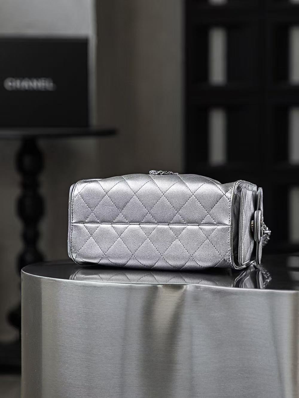 CC 25 Hobo Bag Mini 22cm Silver Metallic Grained Calfskin