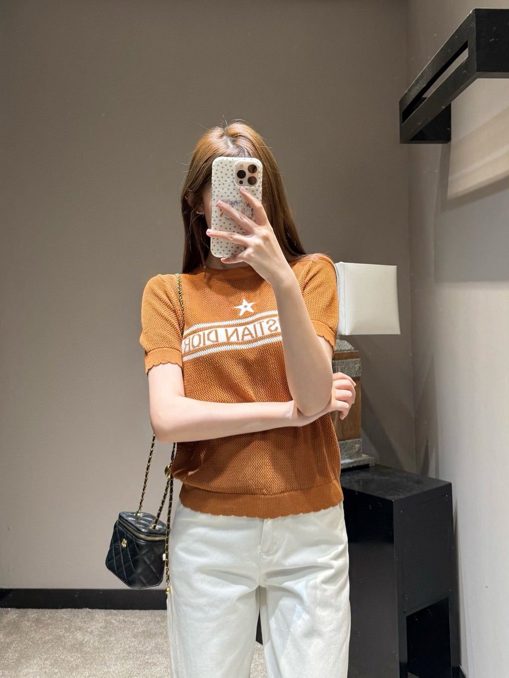 Dior 2026 Mesh Knit Short-Sleeve Top Brown and White Wool 341180