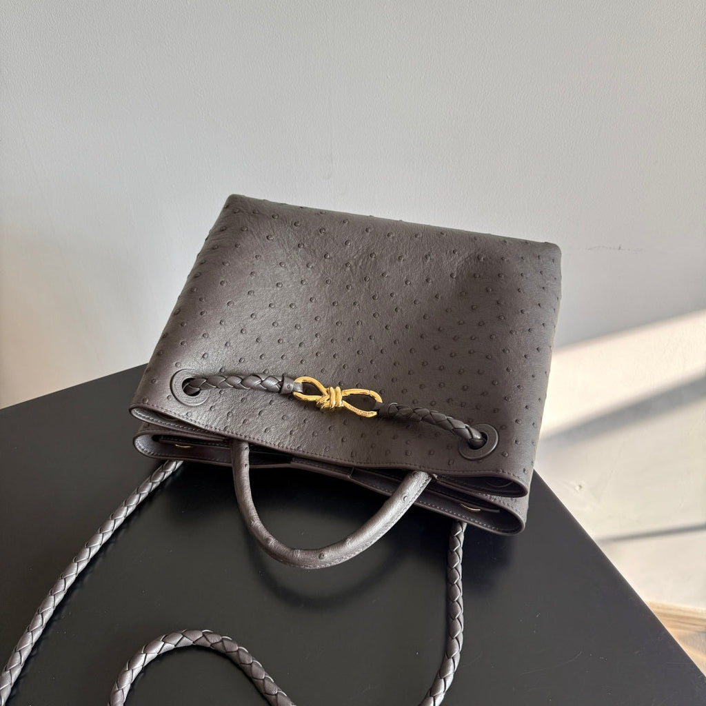 Bottega Veneta 2026 Andiamo Bag Dark Brown Ostrich Leather