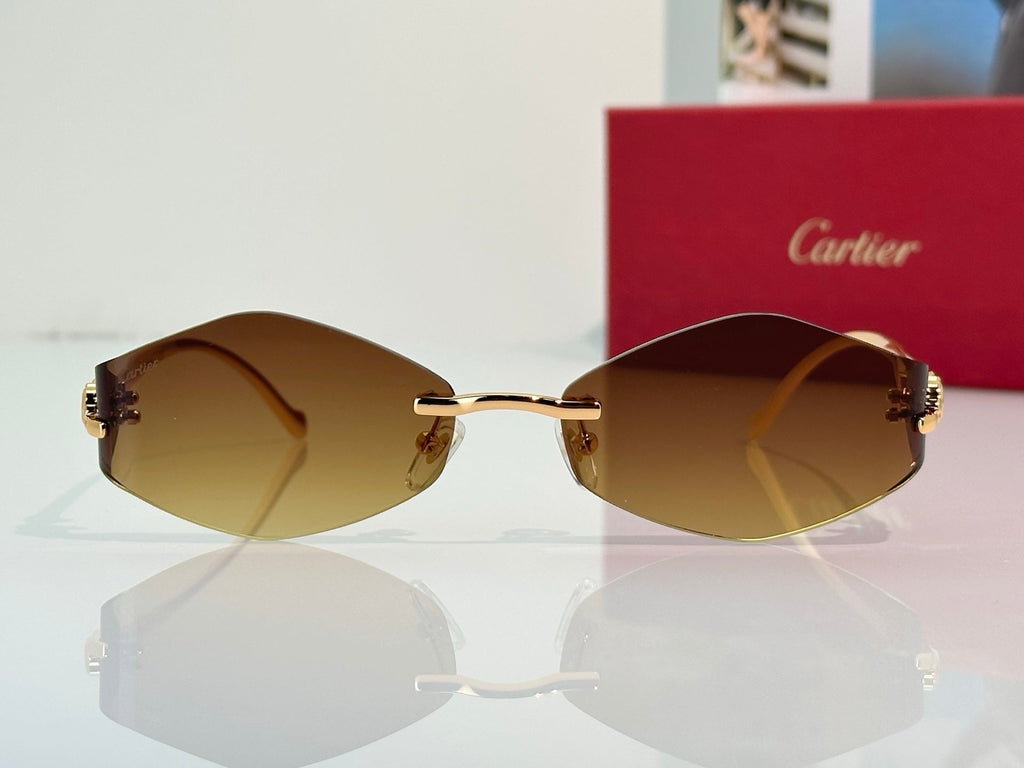 Cartier Sunglasses 2026 CT020410