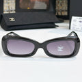 Chanel 2026 Butterfly Sunglasses Black Gradient Purple Acetate